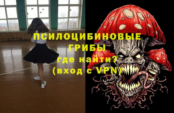 дурь Нея