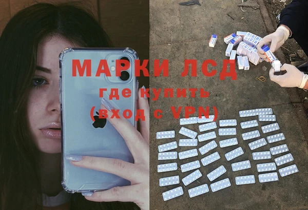 ПСИЛОЦИБИНОВЫЕ ГРИБЫ Бежецк